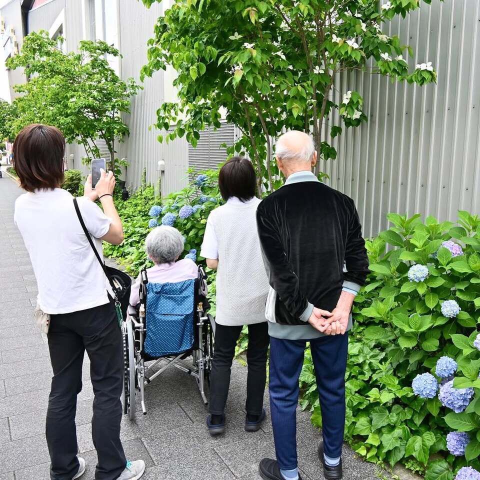 「あじさい」を見に出かけました