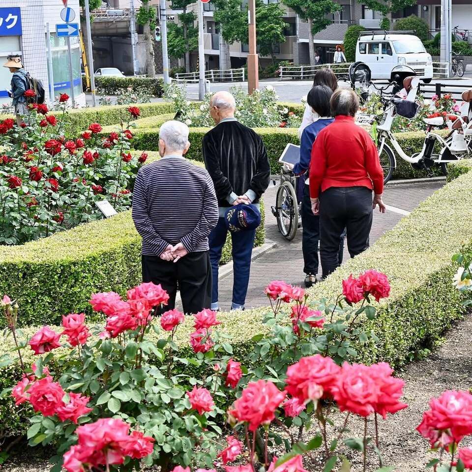 本山街園 バラ園