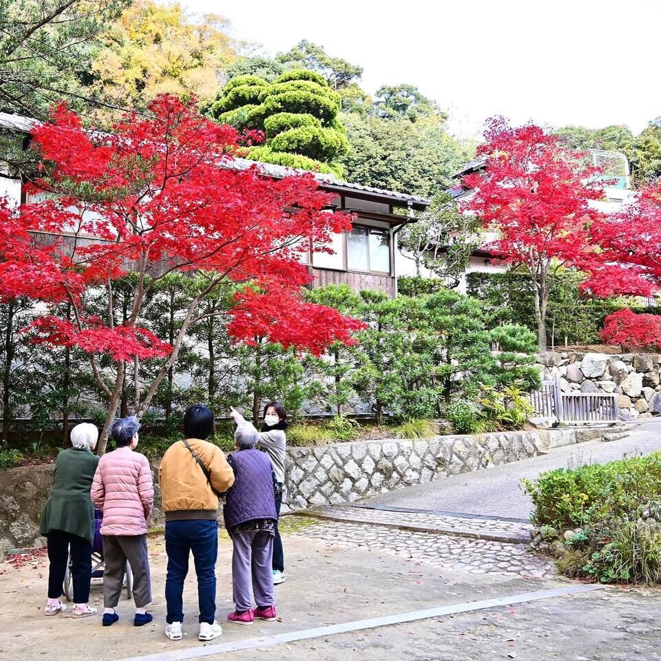 紅葉ドライブ