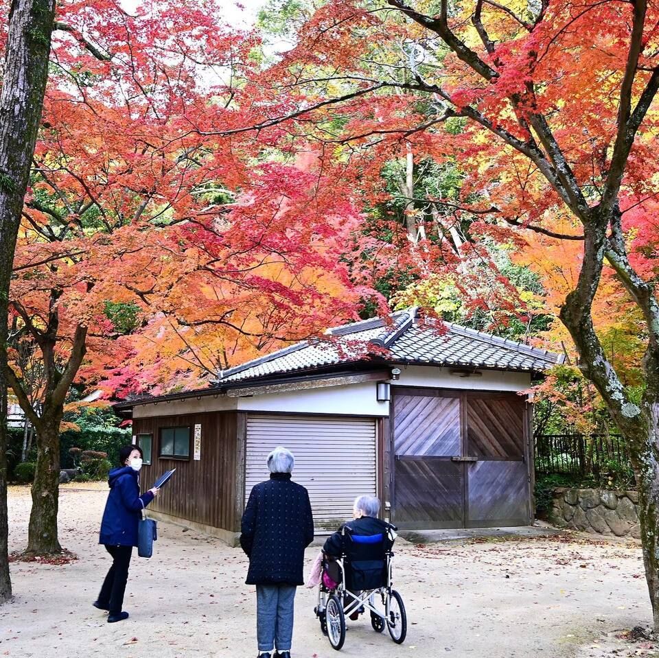 紅葉ドライブ