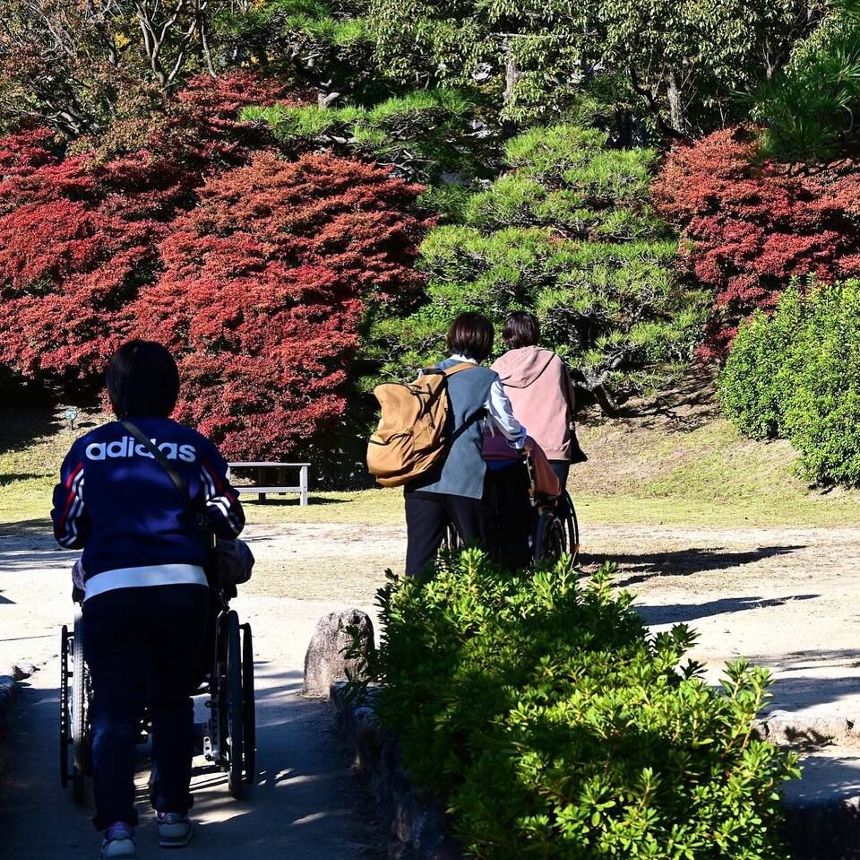 相楽園に行ってきました