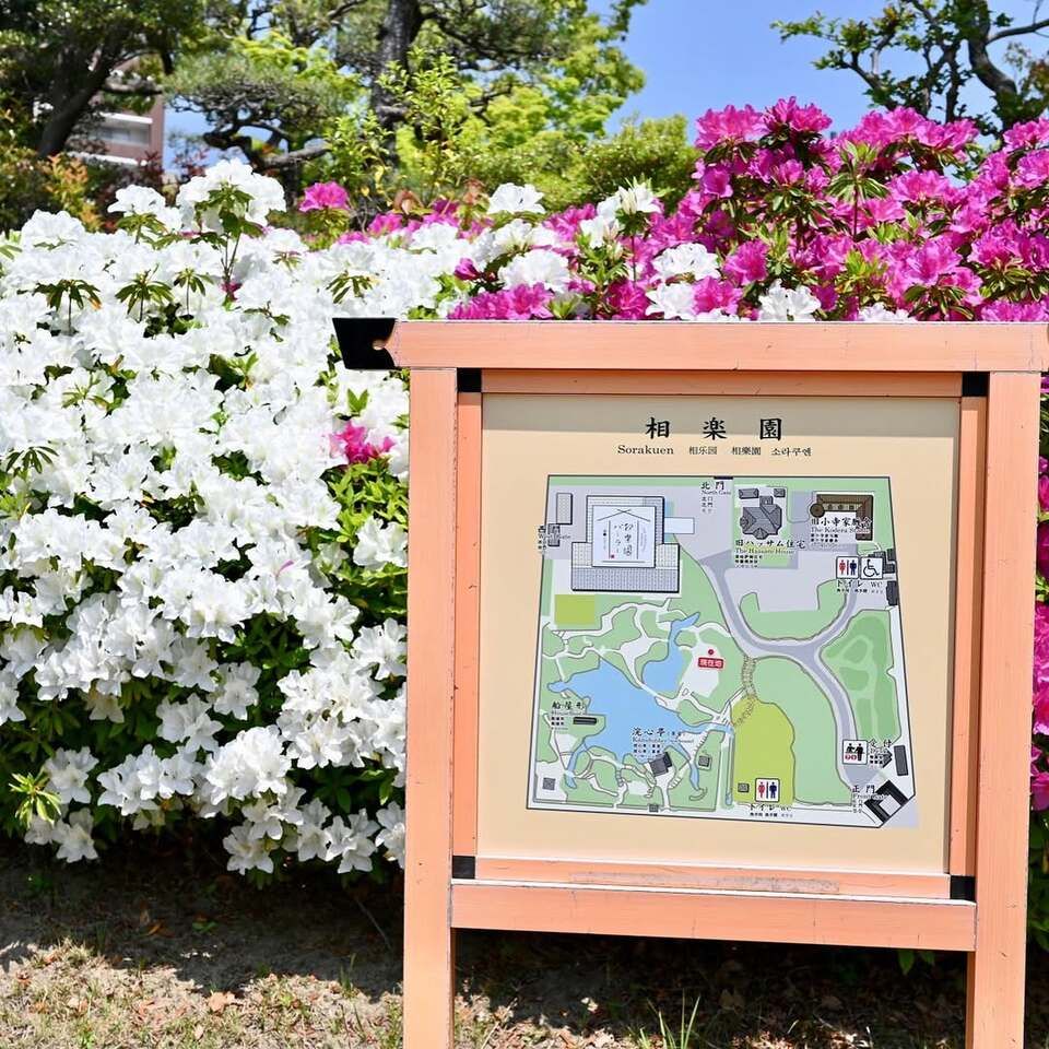 相楽園に行きました