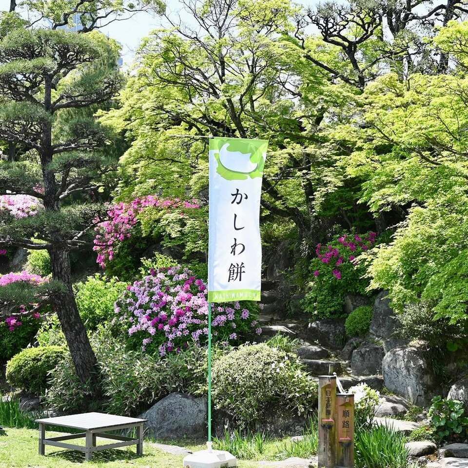 相楽園に行きました