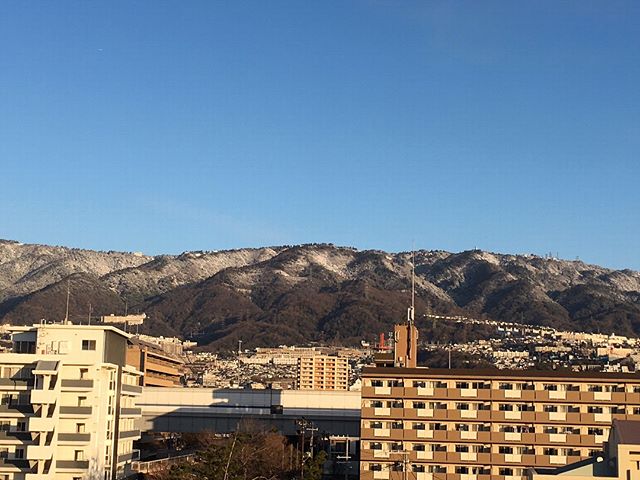神戸の雪景色❄️