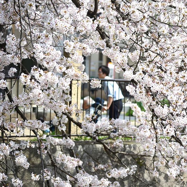 今日も明日も、平成１５年９月１６日