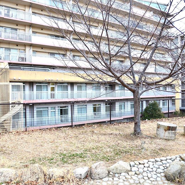 １．１７兵庫メモリアルウォーク２０２０